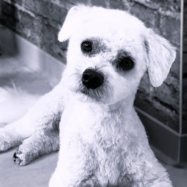 Sam